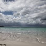 6060 Beach at Volunteer Point, Falklands