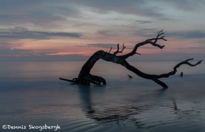 6270 Sunrise, Jeckyll Island, Georgia