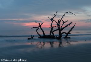 6272 Sunrise, Jeckyll Island, Georgia