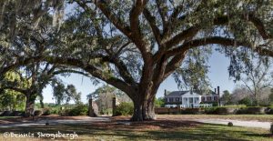 6294 Boone Hall Plantation, Mt. Pleasant, SC