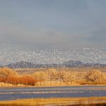 6956 Swarming Geese, Bosque del Apache, NM