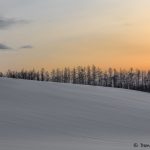 7002 Winter Landscape, Biei, Hokkaido, Japan
