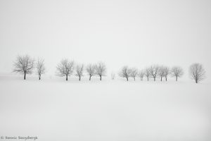 7007 Winter Landscape, Biei, Japan