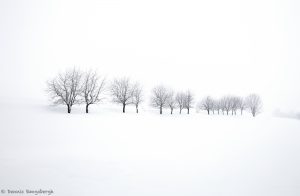 7008 Winter Landscape, Biei, Japan