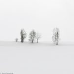 7016 Winter Landscape, Biei, Japan