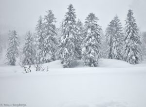 7020 Winter Landscape, Mount Asahi, Japan