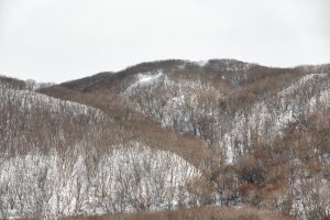 7053 Winter Landscape, Hokkaido, Japan