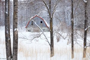 7063 Winter Landscape, Barn in Oumu, Hokkaido, Japan