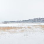 7065 Panorama Winter Landscape, Oumu, Hokkaido, Japan