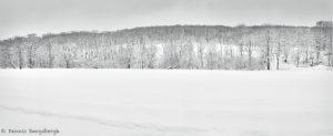 7068 Panorama Winter Landscape, Oumu, Hokkaido, Japan