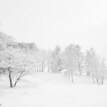 7074 Winter Landscape, Oumu, Hokkaido, Japan