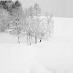 7076 Winter Landscape, Oumu, Hokkaido, Japan