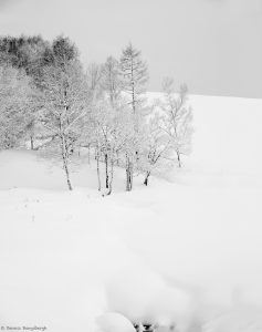 7076 Winter Landscape, Oumu, Hokkaido, Japan