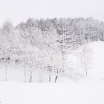 7077 Winter Landscape, Oumu, Hokkaido, Japan