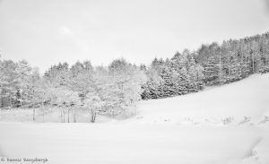 7078 Winter Landscape, Oumu, Hokkaido, Japan