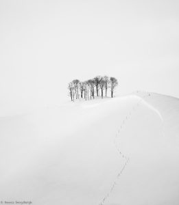 7081 Winter Landscape, Hokkaido, Japan