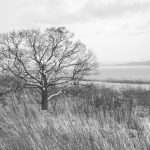 7086 Winter Landscape, Saroma Lake, Hokkaido, Japan