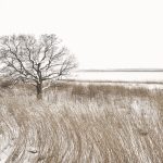 7088 Winter Landscape, Saroma Lake, Hokkaido, Japan