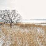 7089 Winter Landscape, Saroma Lake, Hokkaido, Japan