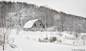 7117 Winter Landscape, Barn in Oumu, Hokkaido, Japan