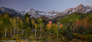 7248 Autum, Dallas Divide, CO