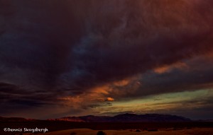 1031 Sunset, Death Valley Sand Dunes