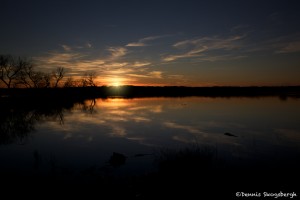 1045 Sunset, Hagerman National Wildlife Refuge, TX