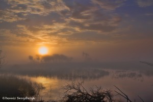 1217 Sunrise, Fog, Hagerman National Wildlife Refuge, First Place Landscape Winner
