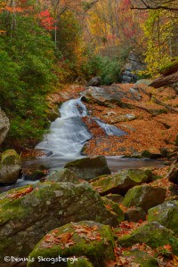 1707 Lynn Camp Prong Cascades with Autumn Color