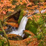 1709 Cascade and Autumn Color