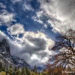 1754 Yosemite Valley, Autumn Color, Clearing Storm Clouds
