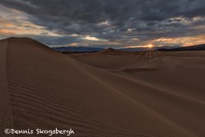 5534 Sunrise, Sand Dunes, Death Valley National Park, CA