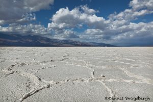 5541 Badwater Salt Pan, Death Valley National Park, CA