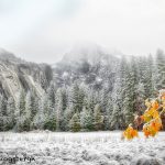 6133 Foggy Morning View of Half Dome, November, Yosemite National Park, CA