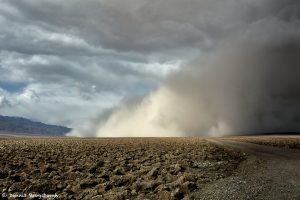 9181 Sand Storm Over Devils Golf Course, Death Valley National Park, CA