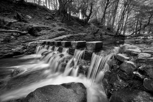 7152 Stepping Stones, Tollymore Forest Park, Northern Ireland