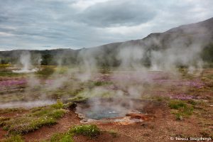 7539 Geysir Geothermal Field, Geysir, Iceland