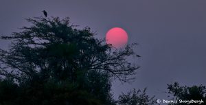 8090 Sunset, Pixaim River, Pantanal, Brazil