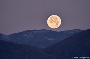 8415 Moonset, Bosque del Apache, NM