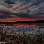 1770 Sunset, Caddo Lake National Wildlife Refuge, Texas