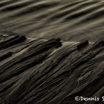 5172 Sand Patterns, Smuggler's Cove, Oregon Coast