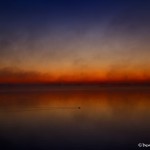 1105 Rolling Fog, Dawn, Hagerman National Wildlife Refuge, TX