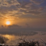 1267 Sunrise, Fog, Hagerman National Wildlife Refuge, TX, First Place Winner - Landscape