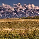 1317 Grand Teton Panorama, Grand Teton National Park, WY