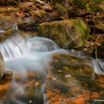 1672 Autumn, Hadlock Brook