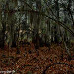 1794 Dawn, Caddo Lake