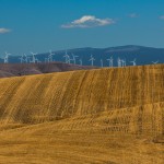 2783 Wind Farm, Wheat Fields, Wasco, Oregon