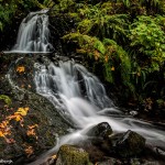 2797 Sheppard's Dell Falls, OR