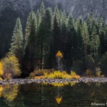 2952 Merced Reflections, November, Yosemite National Park, CA