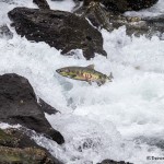 3548 Salmon Run, Juneau, Alaska